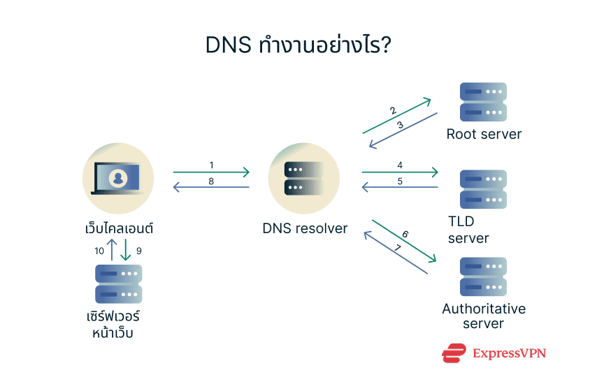 Diagram illustrating how DNS works: the user's device sends a query to a DNS resolver. The resolver contacts a root server, then a TLD server, and finally an authoritative DNS server to retrieve the correct IP address. The IP address is returned to the user's device, enabling it to connect to the website.
