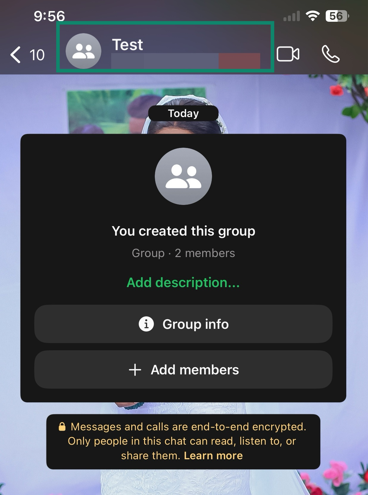 WhatsApp group chat home screen with the group name section highlighted.