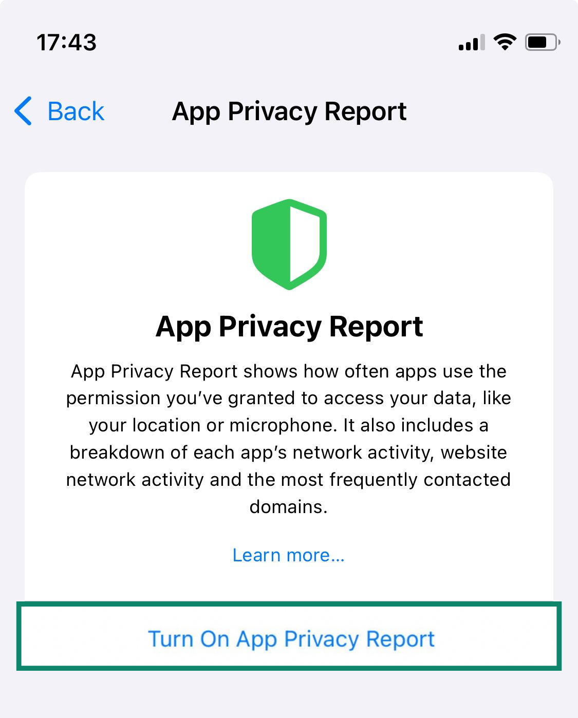 The App Privacy Report page on an iPhone, showing the option to turn on the report feature.