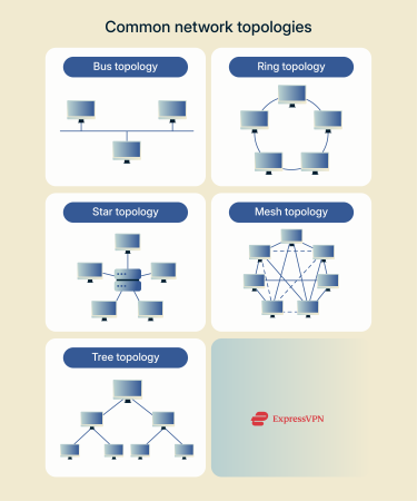 The four main network topologies.