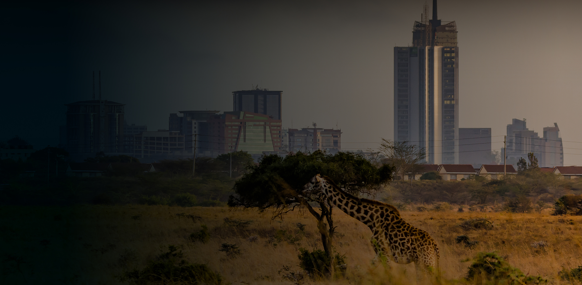 Kenya Ip Address Desktop