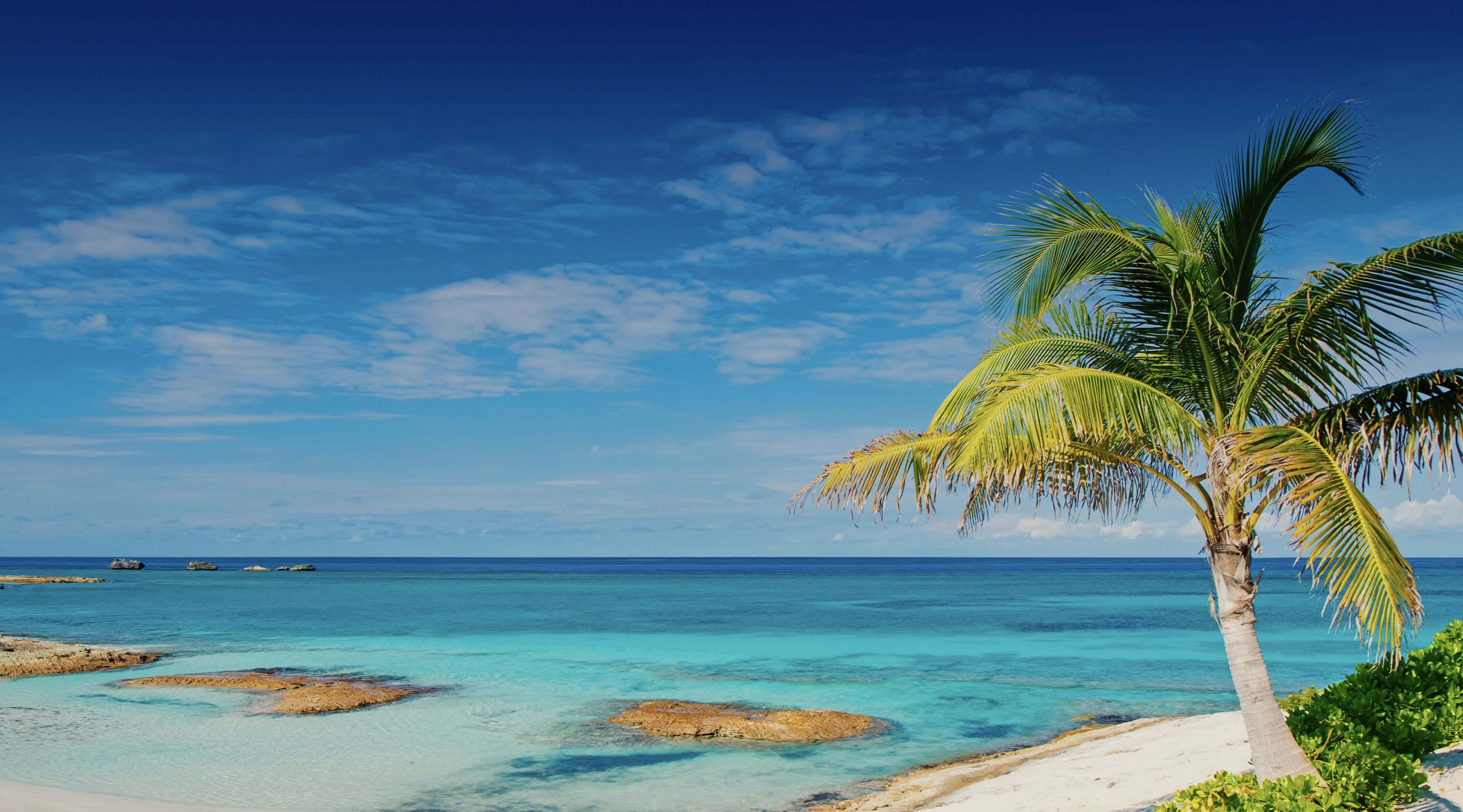 Скачайте VPN №1 для Багамских Островов в 2025 году