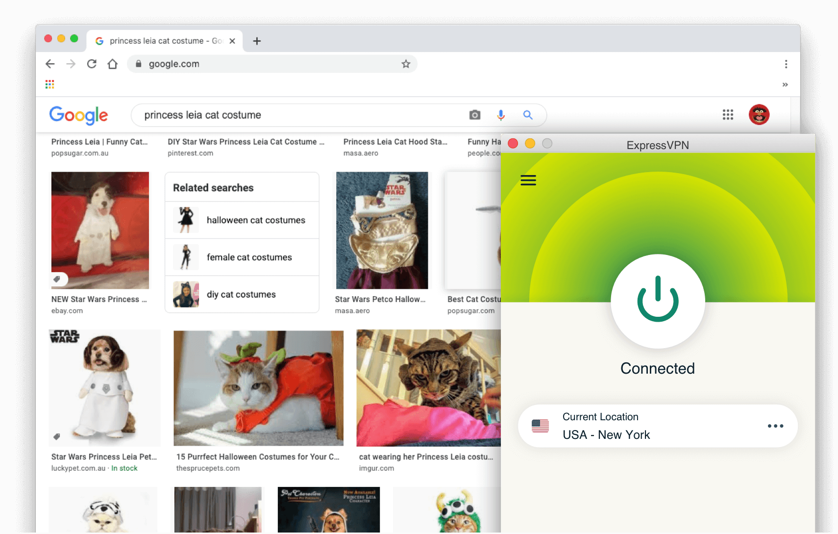 Google zoekresultaten: Prinses Leia kattenkostuum met ExpressVPN ingeschakeld.
