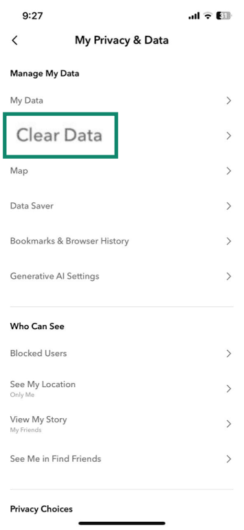 Snapchat app My Privacy & Data settings on iPhone highlighting the Clear Data option.