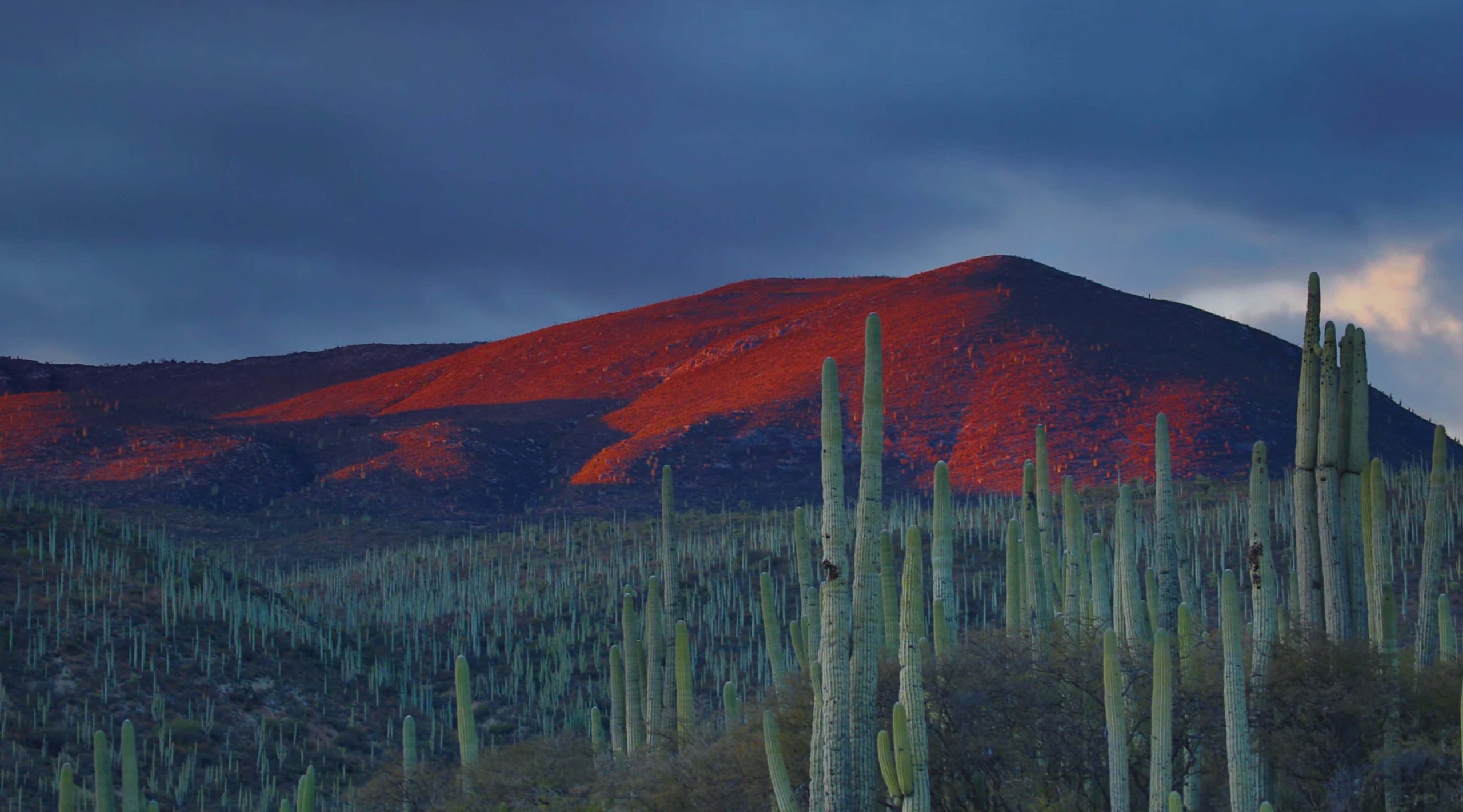 Download de beste VPN voor Mexico in 2025