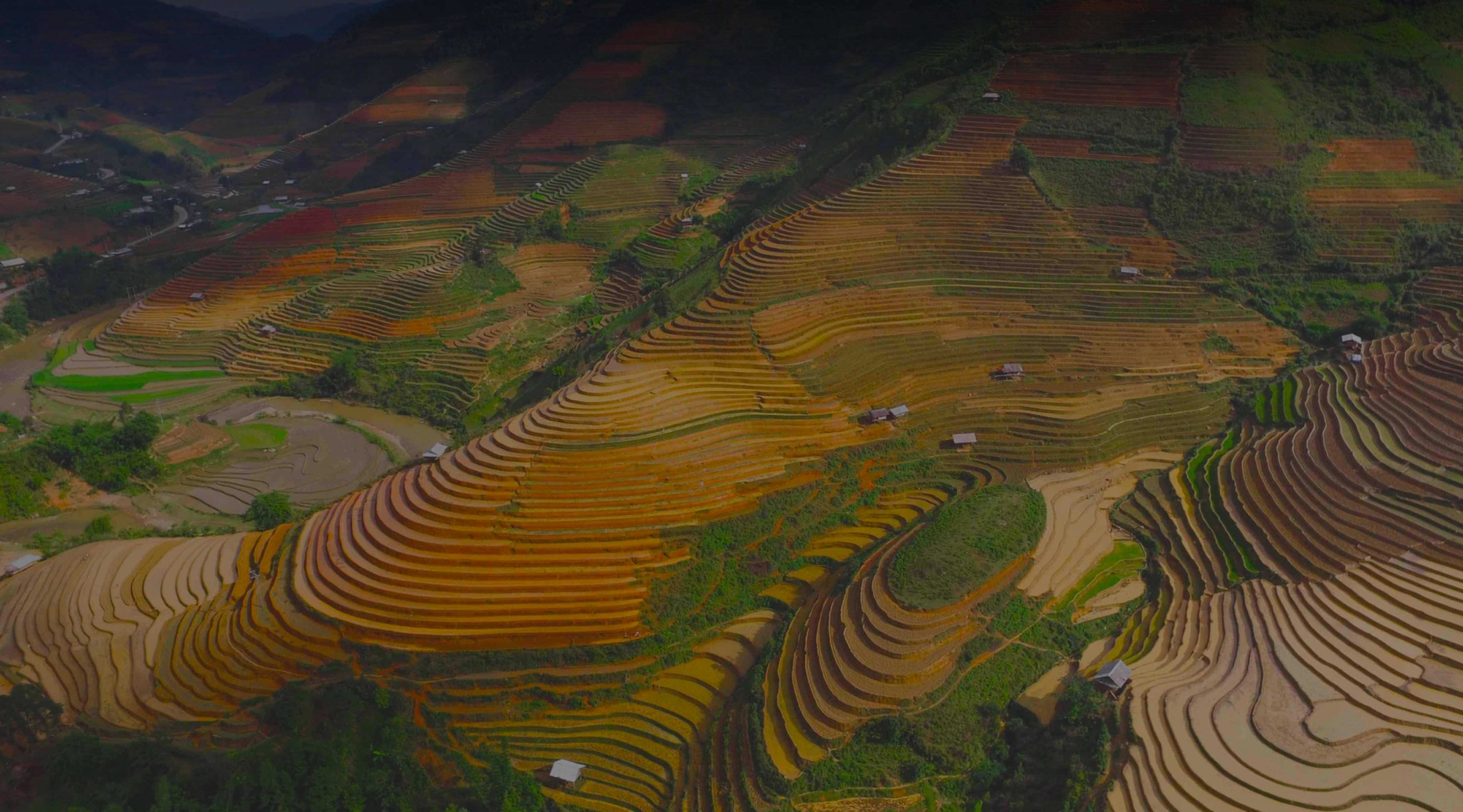 Unduh VPN terbaik untuk Vietnam di 2025