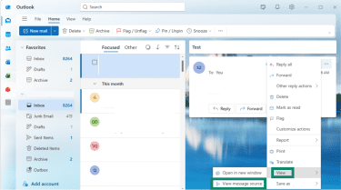 The menu window is open in the Outlook email app, View and View message source are highlighted.