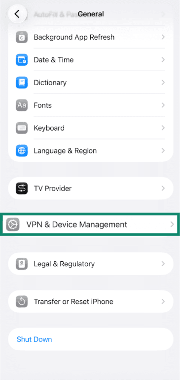 iPhone General settings with VPN & Device Management highlighted.
