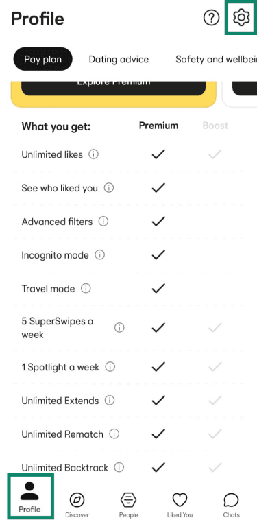 The Bumble Profile tab highlighting the person icon in the bottom navigation bar and the settings gear icon in the top right corner.