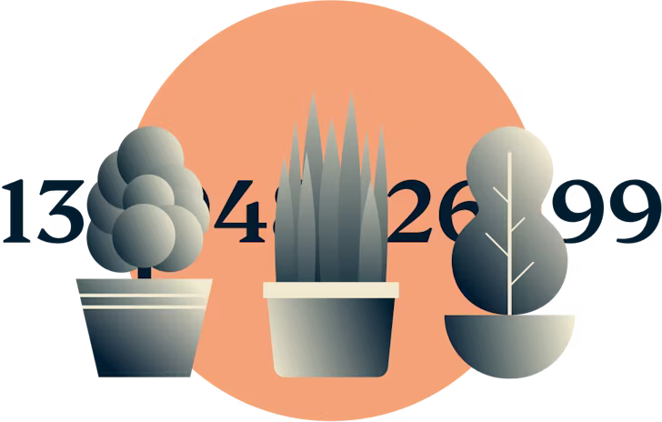 Trzy rośliny zakrywające rząd cyfr.