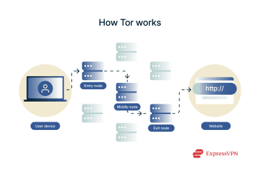 A diagram showing how Tor works